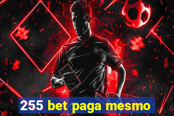 255 bet paga mesmo